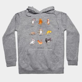 Cat Yoga Hoodie